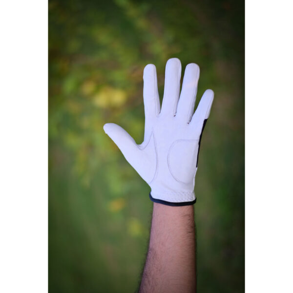 Golf Gloves