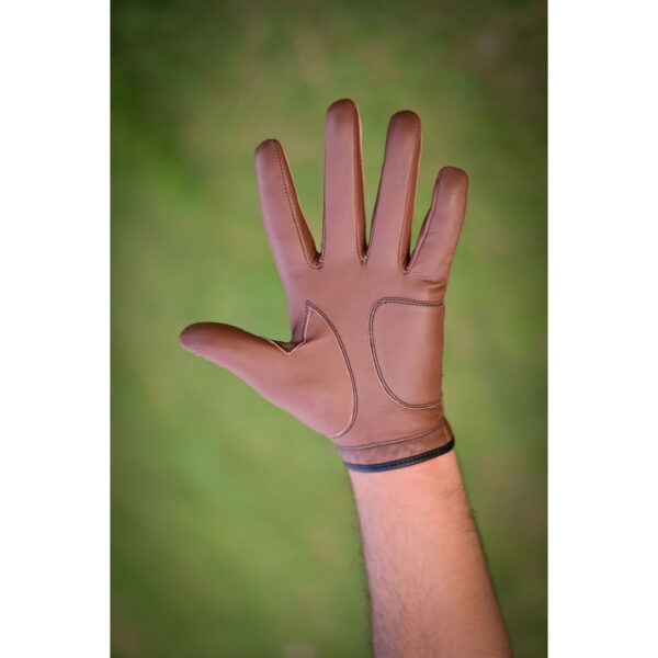 Golf Gloves