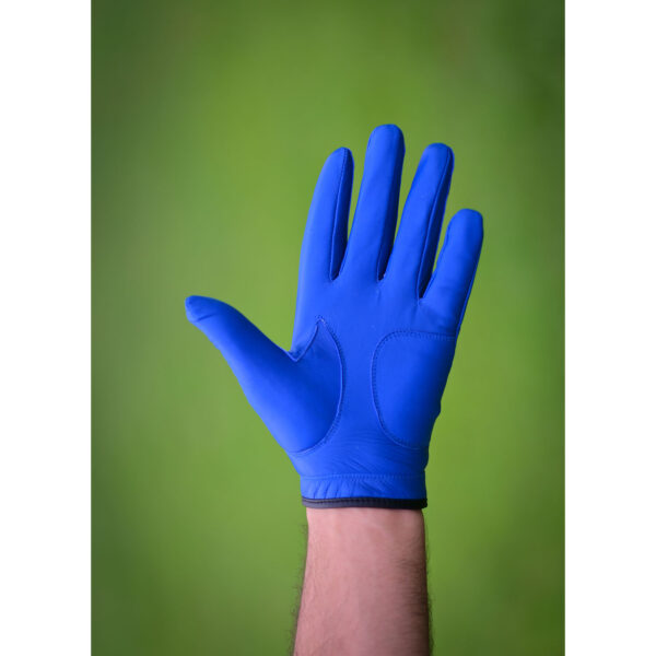 Golf Gloves