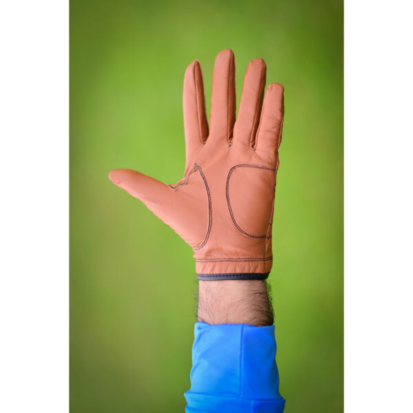 Golf Gloves